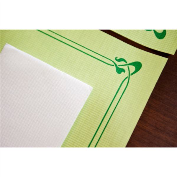TOALHETES DE MESA 48 G/M2 31x43 CM VERDE ANIS CELULOSE 500 UNIDADES