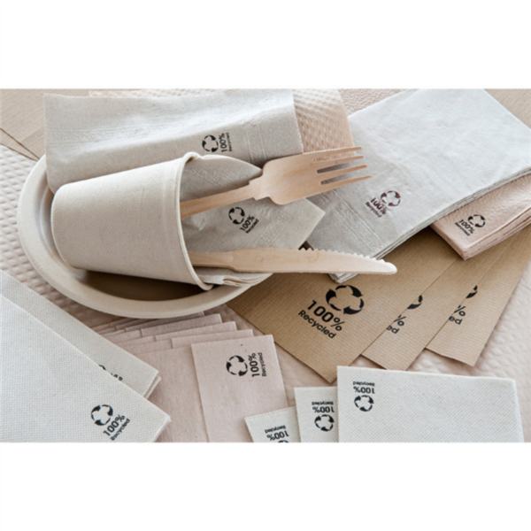 GUARDANAPOS ECOLABEL DOUBLE POINT 19 G/M2 20x20 CM NATURAL TISSUE RECICLADO