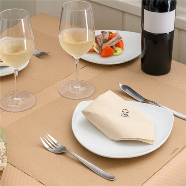 GUARDANAPOS ECOLABEL DOUBLE POINT 19 G/M2 20x20 CM NATURAL TISSUE RECICLADO